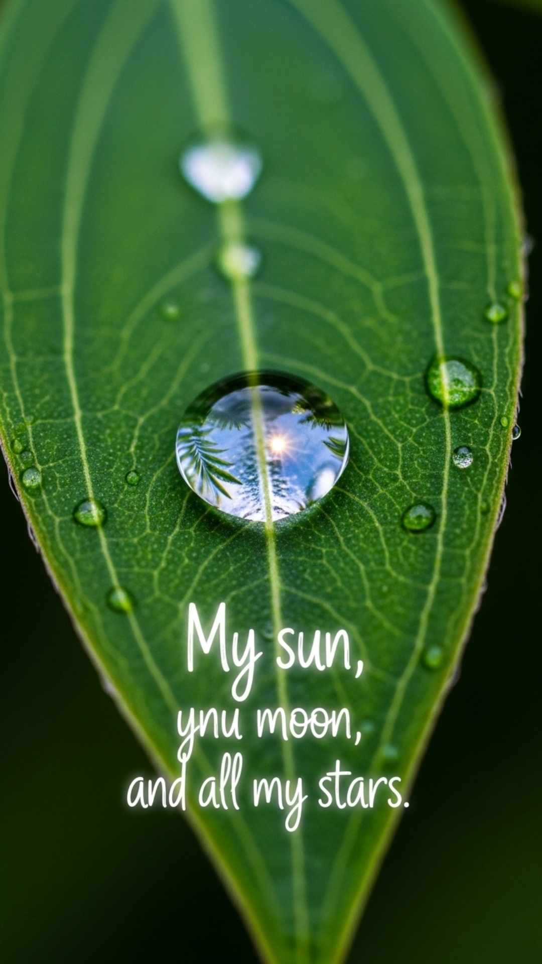 A macro photo of a dewdrop on a green leaf with the quote "My sun, my moon, and all my stars
