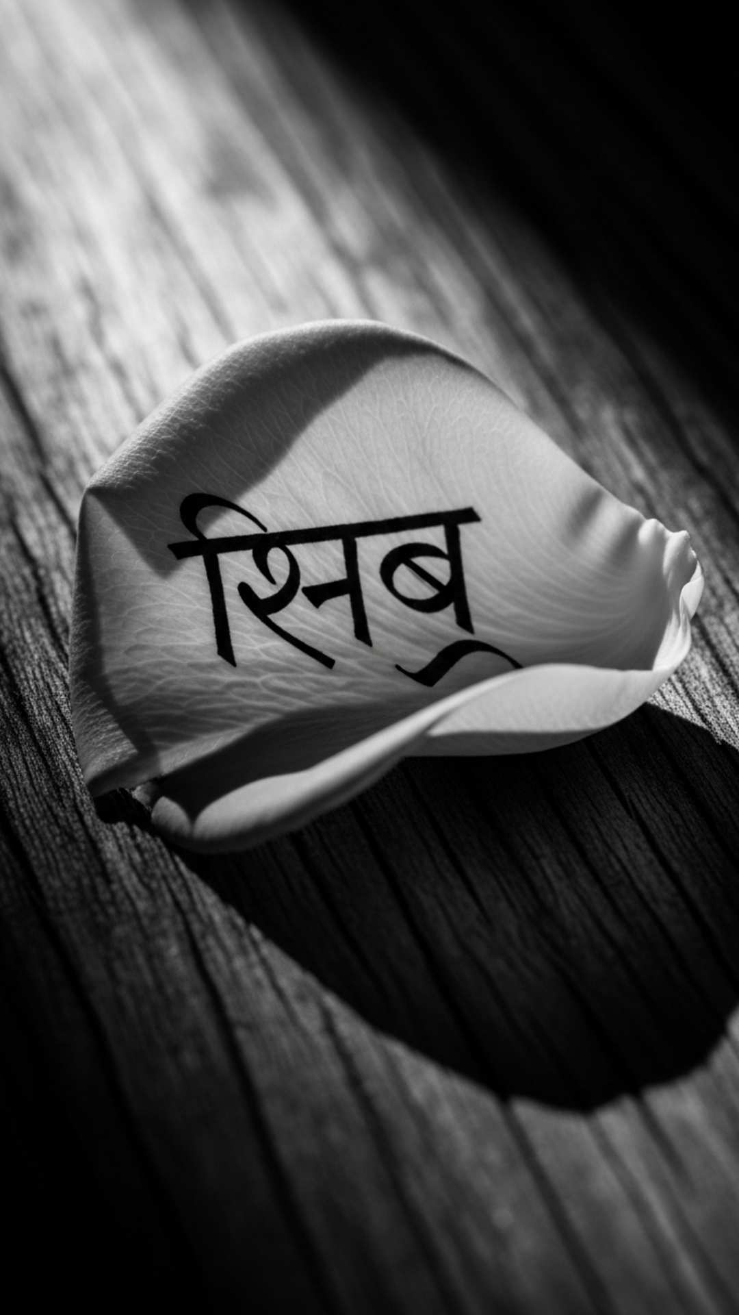 A close-up, black and white photo of a rose petal with the Hindi word "Ishq" written on it.