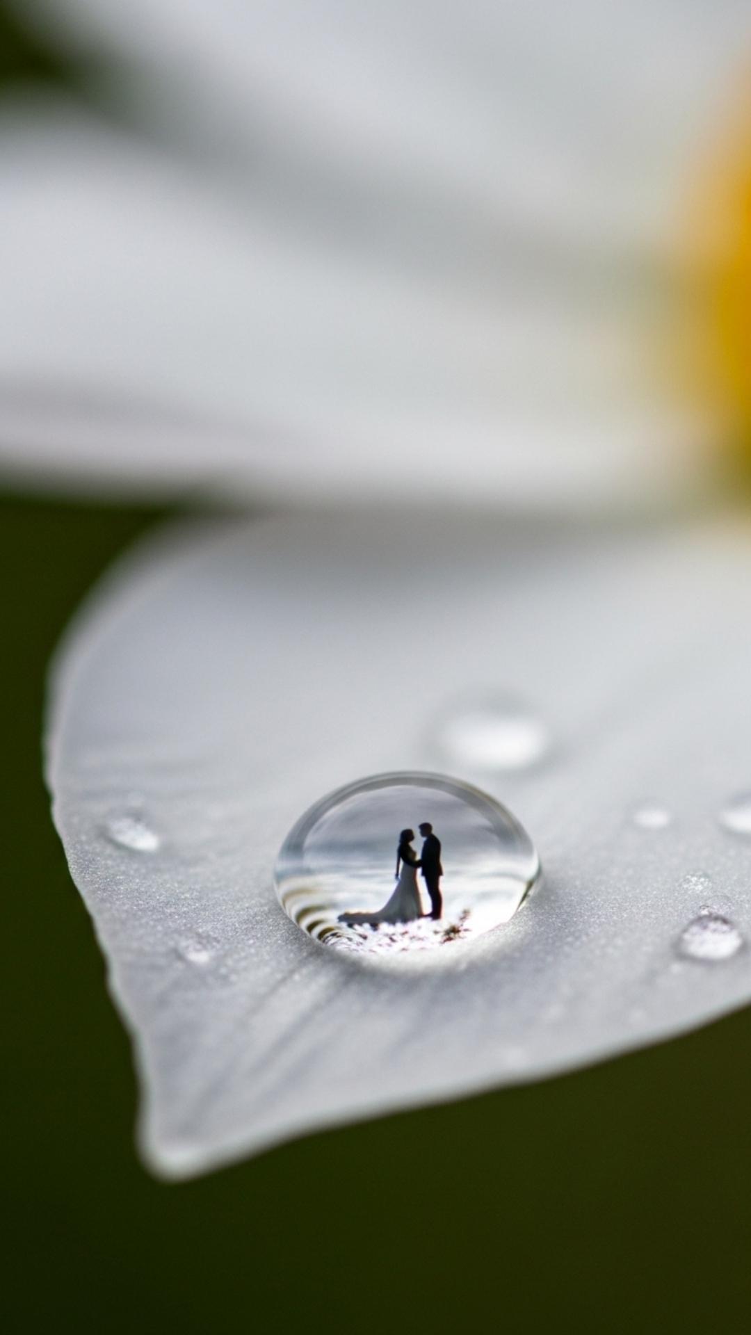 A macro photo of a dewdrop on a flower petal reflecting a tiny couple in the distance.