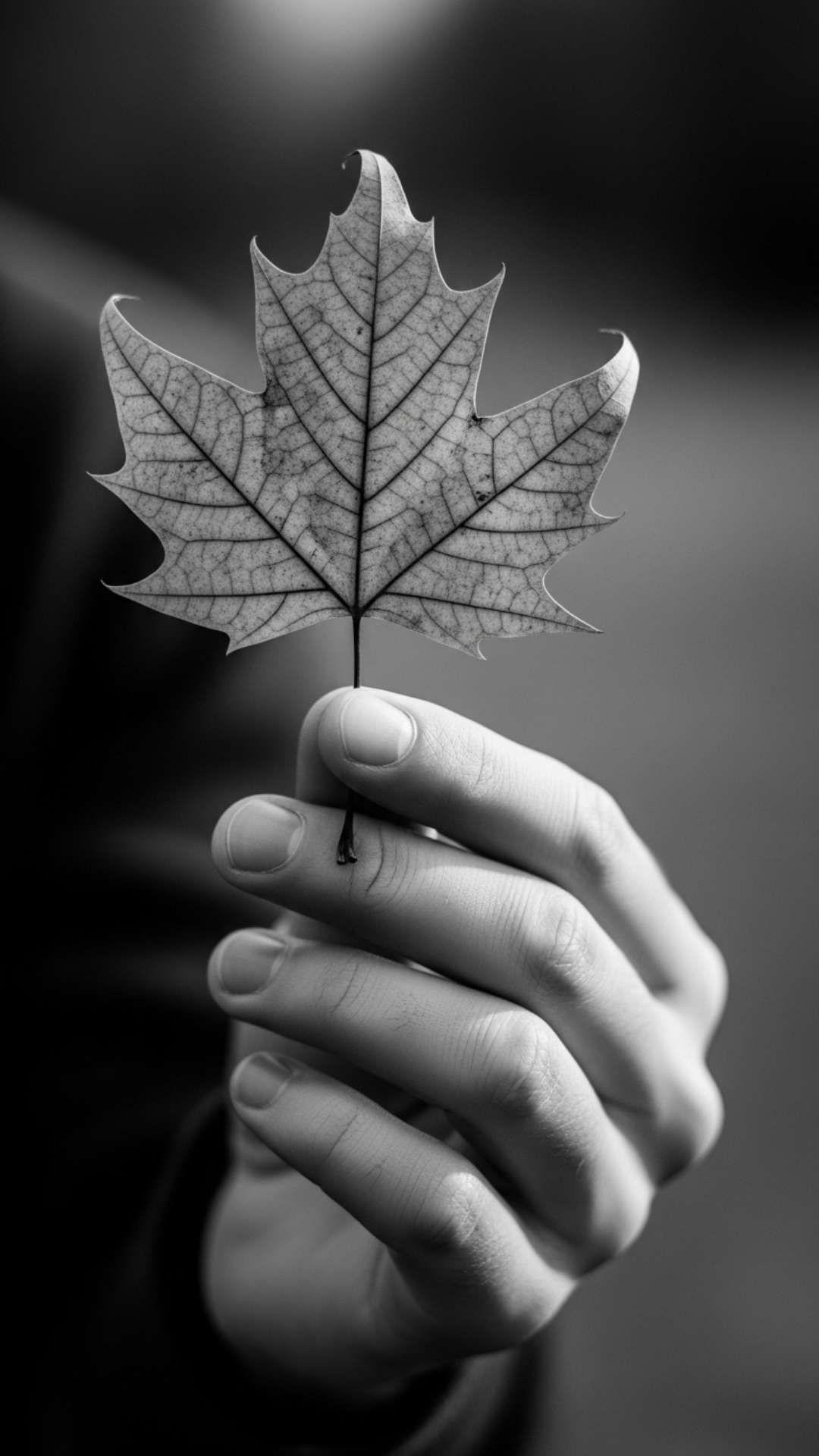 Artistic black and white sad DP of a hand holding a dry leaf.