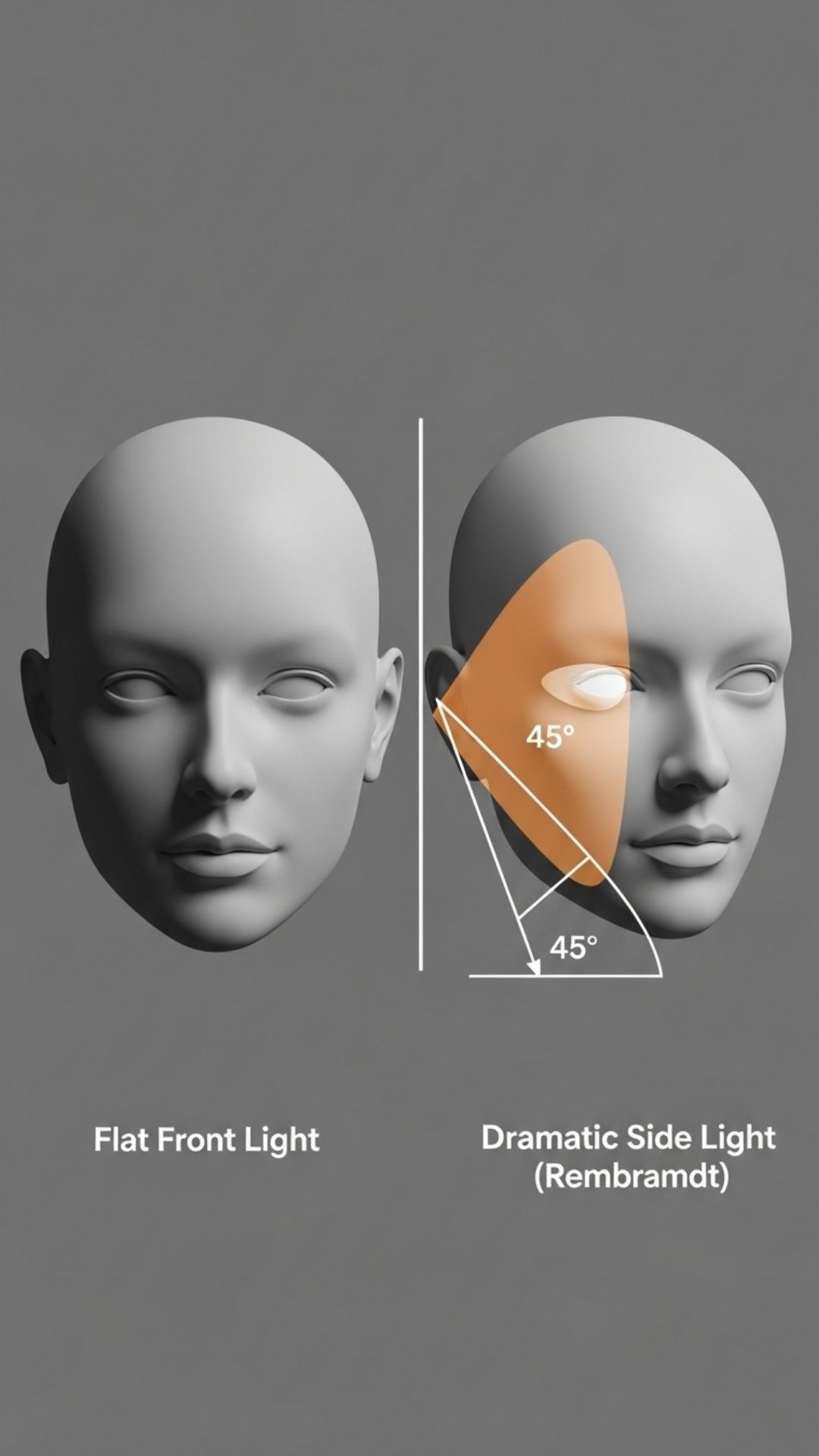 A diagram comparing flat front lighting with dramatic side lighting (Rembrandt style) to illustrate how light placement adds depth to a face.