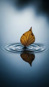 Single withered leaf falling onto still dark water, symbolizing sadness and solitude. Sad WhatsApp DP, melancholic imagery, serene background.