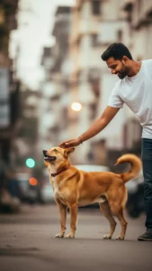 Compassionate attitude DP, boy petting dog, kindhearted profile picture