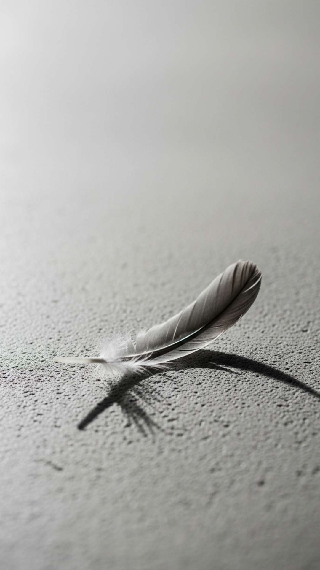 A minimalist photo of a single feather resting on a light gray concrete surface, with soft lighting and shadows, representing quiet strength and peace.