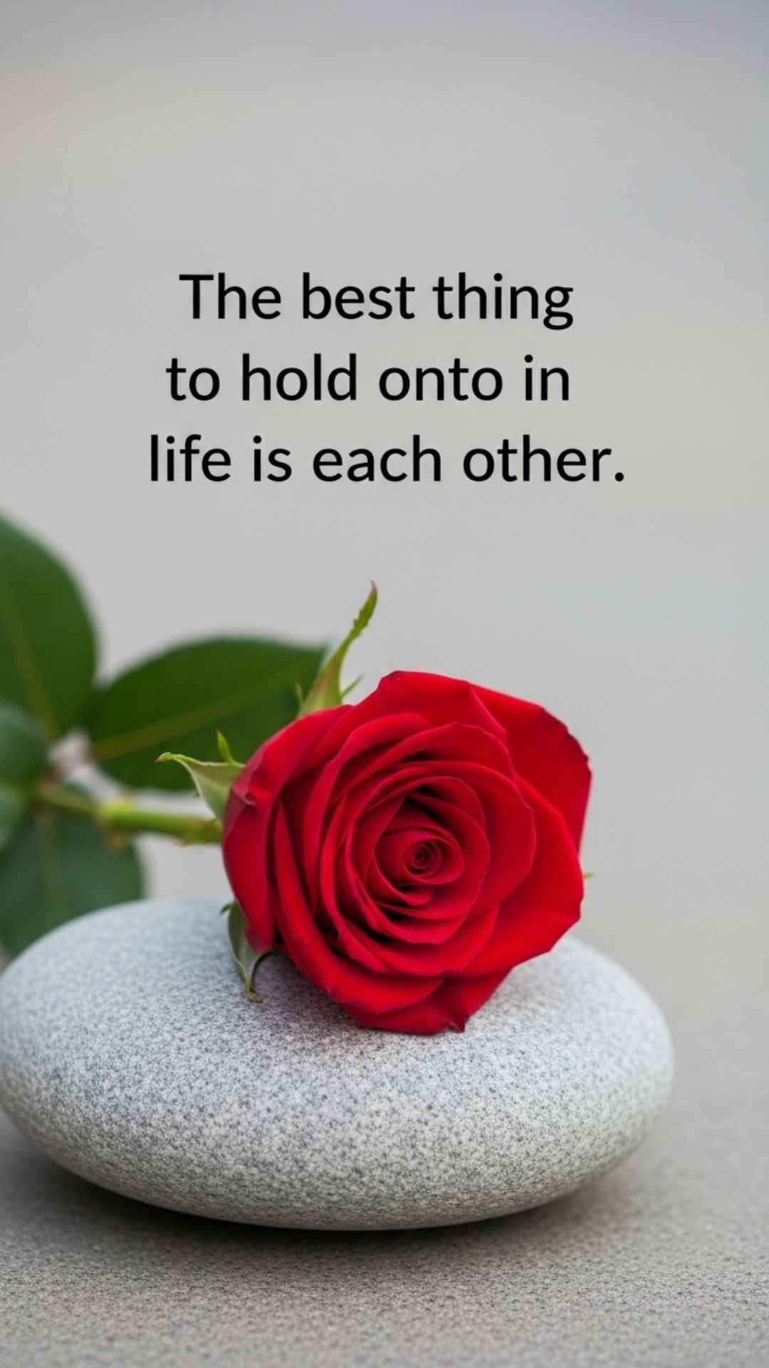 A single red rose lying on a grey stone with a quote, "The best thing to hold onto in life is each other," symbolizing a simple yet profound love.