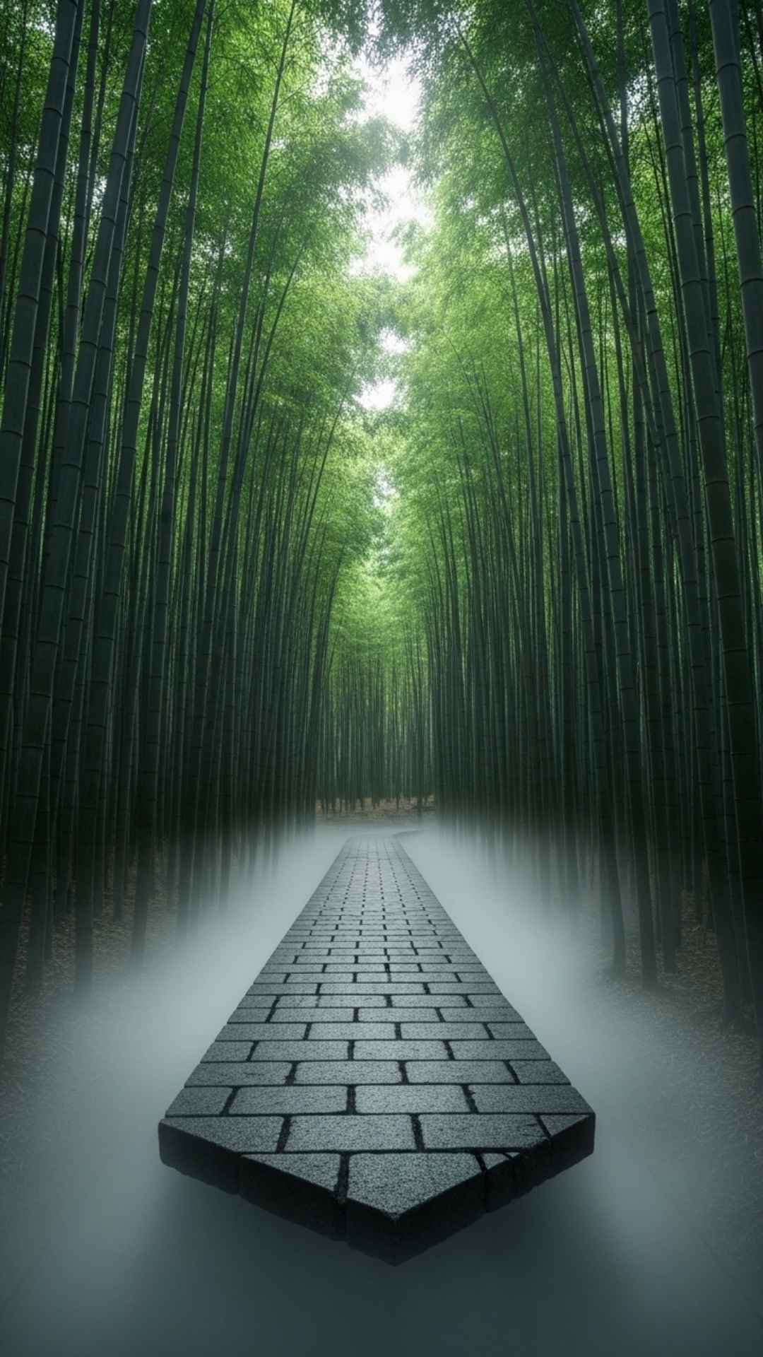 A tranquil and mystical forest path in a bamboo grove with light fog, a perfect Nature DP for WhatsApp for a thoughtful and serene profile.