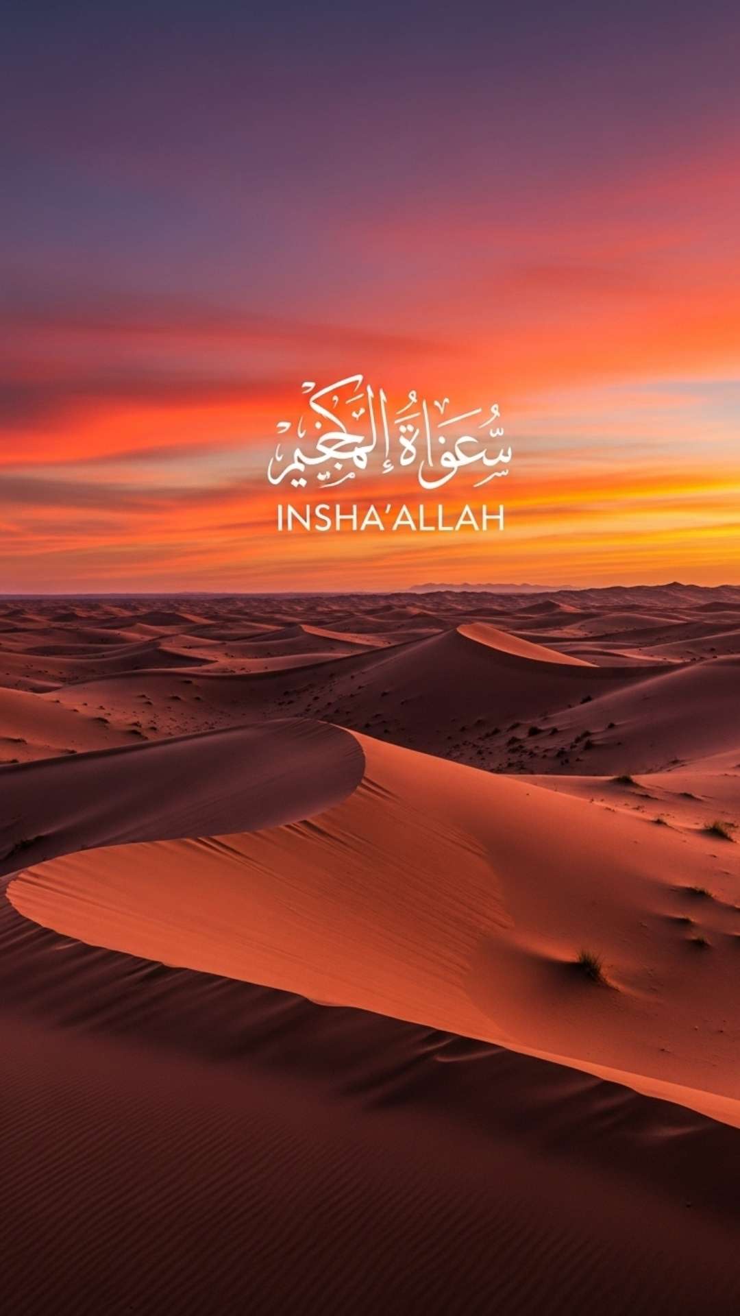 A vibrant aesthetic Islamic DP featuring 'MashAllah' calligraphy subtly overlaid on a close-up of beautiful pink and white blooming flowers. This nature-themed 4K DP for WhatsApp celebrates divine beauty, available for free download.