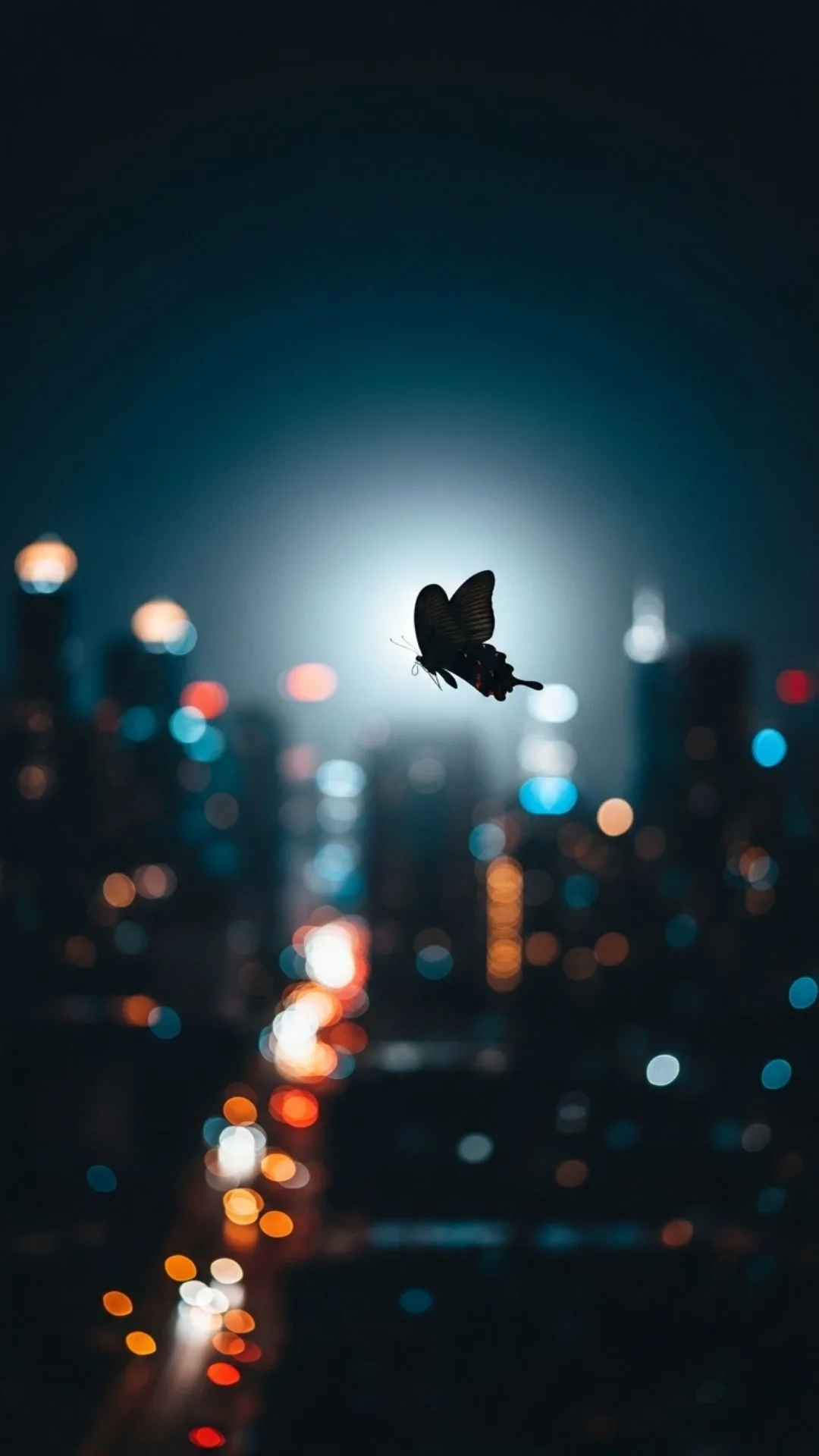 A cool butterfly DP for boys, symbolizing freedom. This bold 4K photo shows a black butterfly against a night city skyline. A unique, free HD download for a powerful WhatsApp or Instagram profile. From Majekfilms.com.