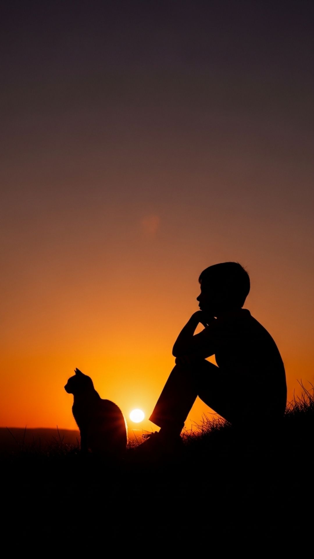 A silhouette of a boy and his cat sitting together at sunset, symbolizing deep loyalty and companionship. This artistic background serves as a meaningful profile picture for men who value their bond with their pets and prefer a subtle, atmospheric aesthetic.