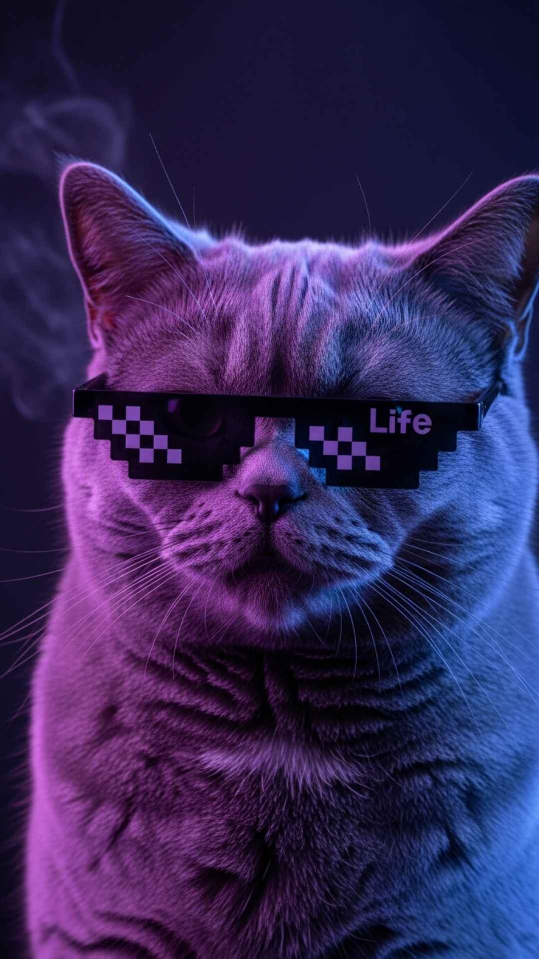 A cool cat wearing pixelated thug life sunglasses, radiating confidence and a savage attitude for a boys' Facebook DP. This image captures the popular internet trend of gangster cats suitable for humorous and edgy group chat avatars.